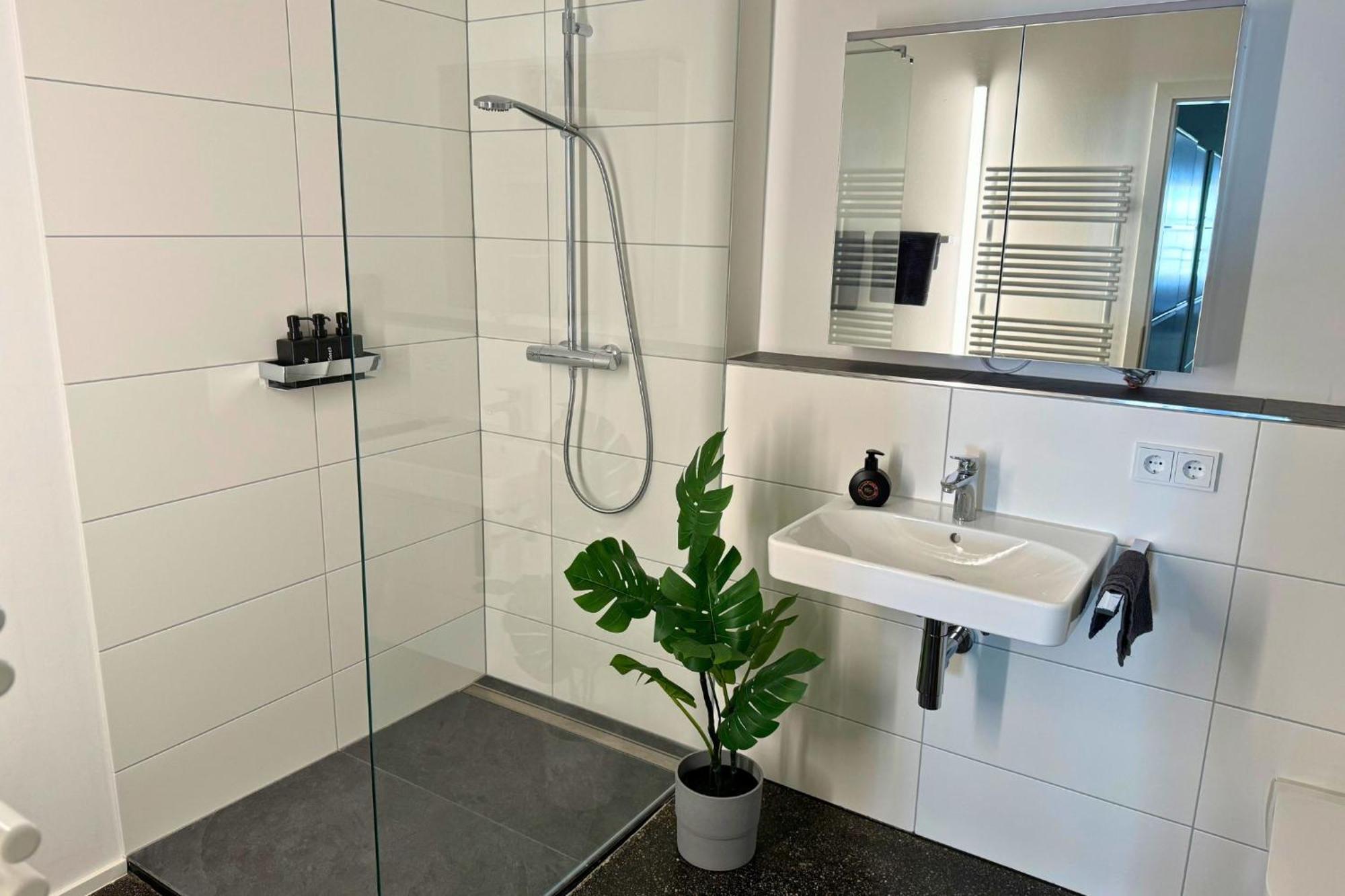 Isaak Apartment Stadtperle ヴァルツフート＝ティンゲン エクステリア 写真