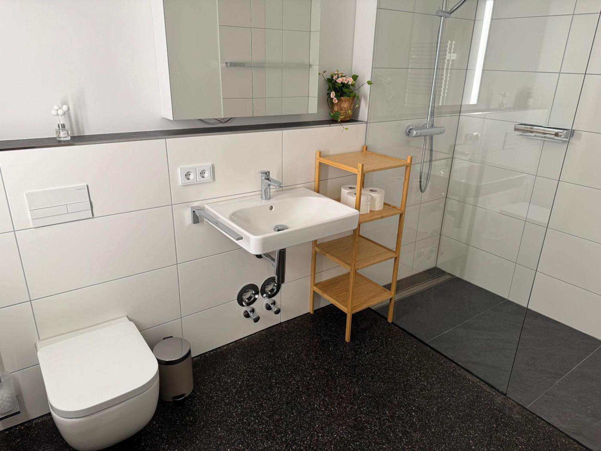 Isaak Apartment Stadtperle ヴァルツフート＝ティンゲン エクステリア 写真
